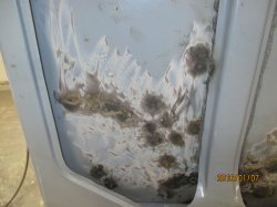 160107 63 Ford Van (2).JPG